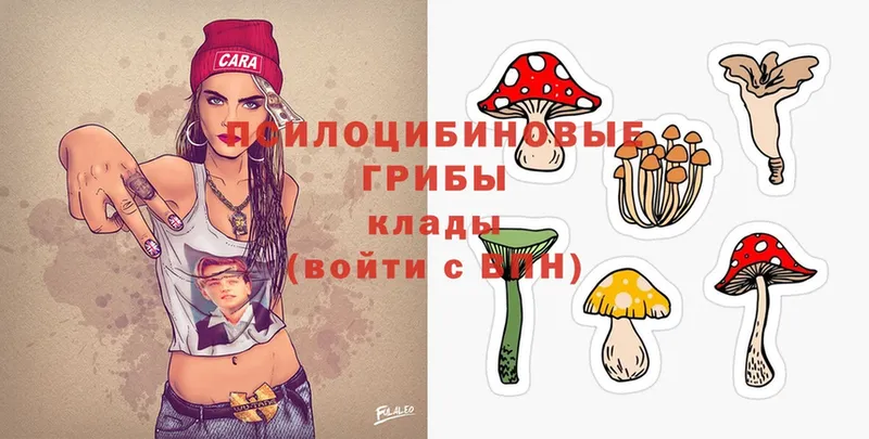 купить закладку  omg сайт  Псилоцибиновые грибы MAGIC MUSHROOMS  Воскресенск 